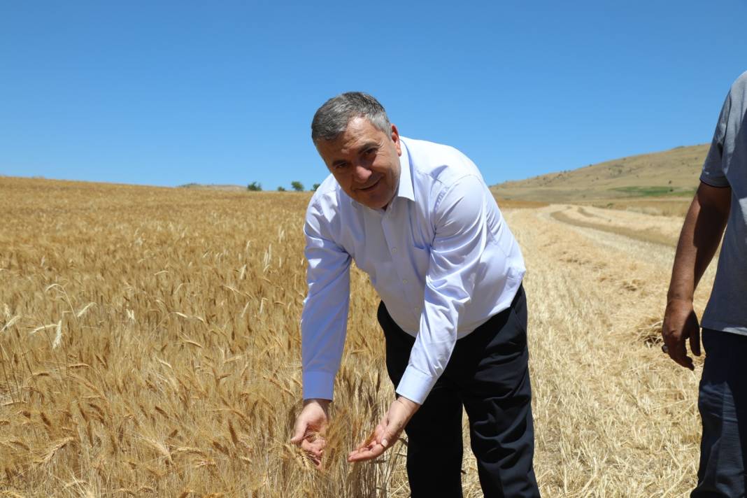 Altın Gibi Parlıyorlar: Bu Yıl Dönümünden 250-400 Kilo Hasat Bekleniyor 2